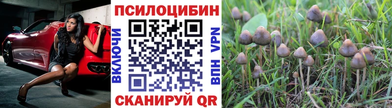 Псилоцибиновые грибы Magic Shrooms Усть-Кут